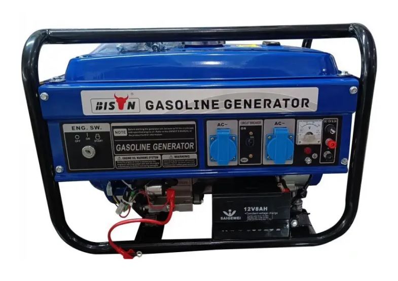 Бензиновий генератор BISON BS3000E 69338 фото